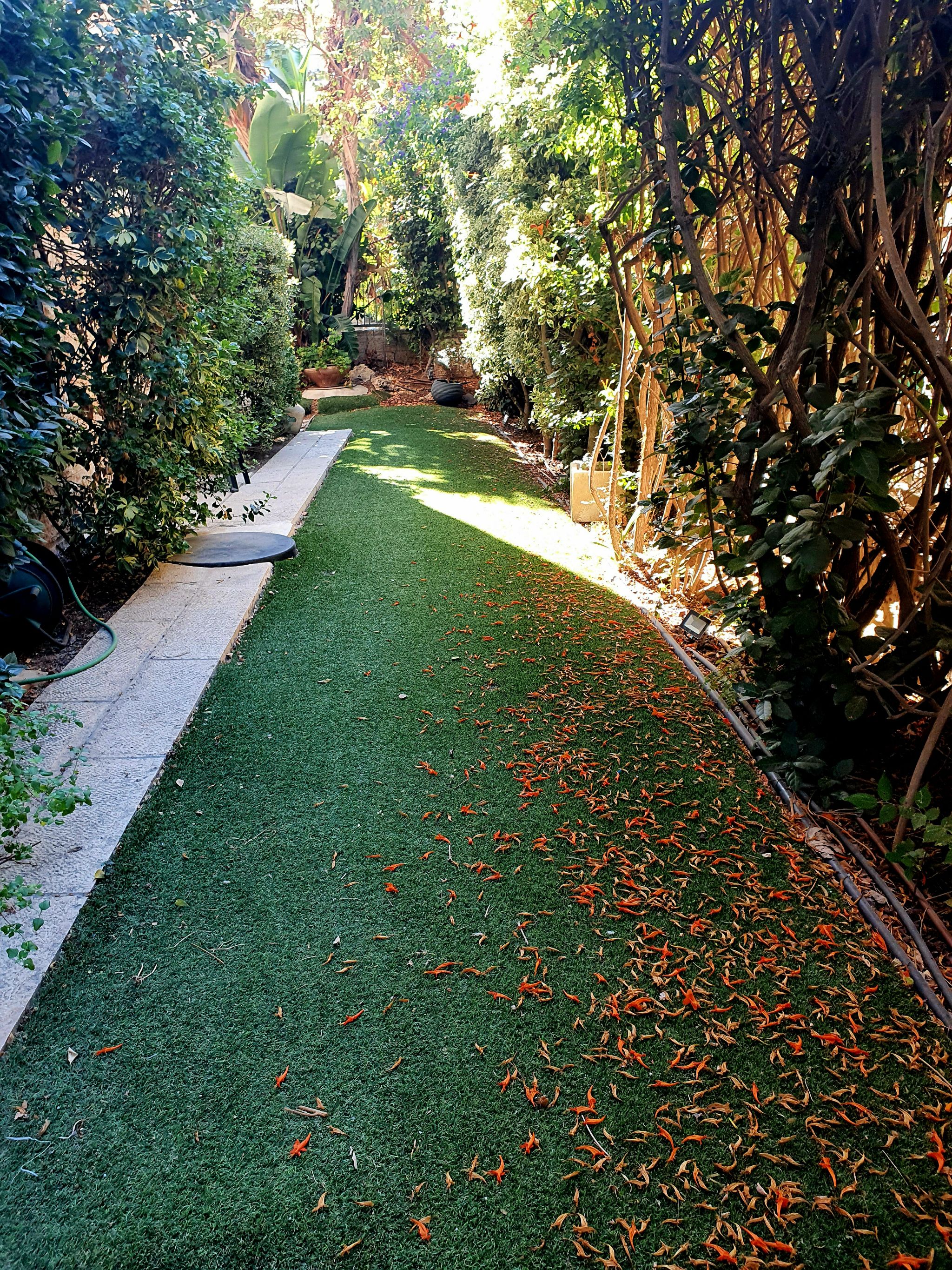 מהסמארטפון שלי